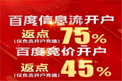行业领先企业的SEM竞价推广策略揭秘